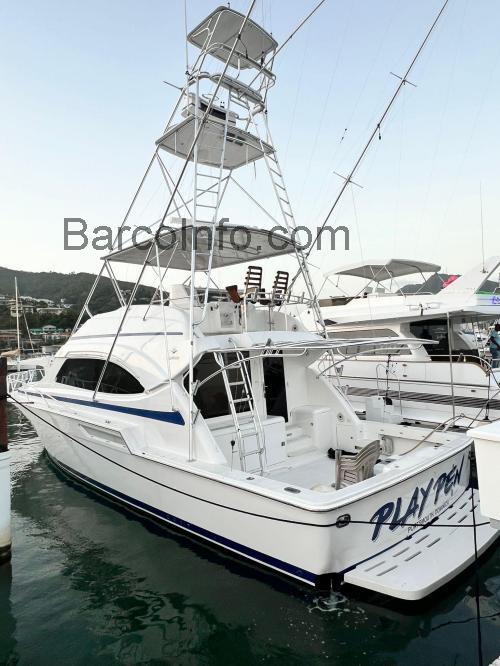 Bertram 51 ficha técnica y opiniones